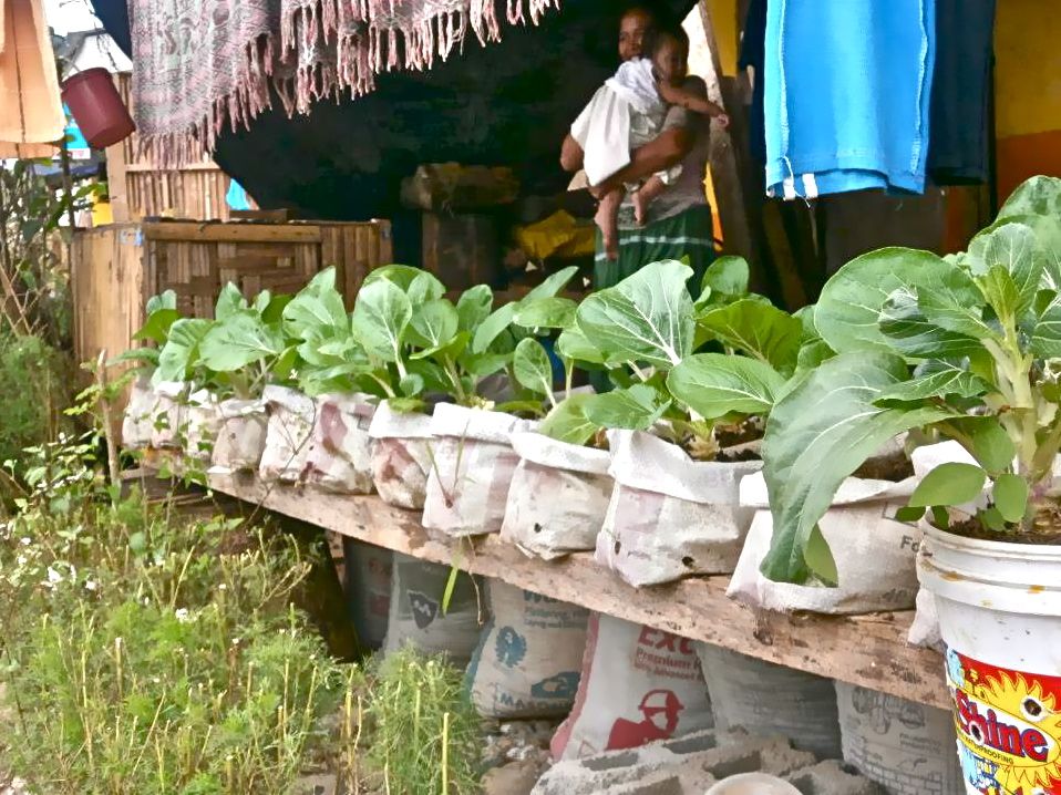 Sack Gardening, an Anti-desertification Tool