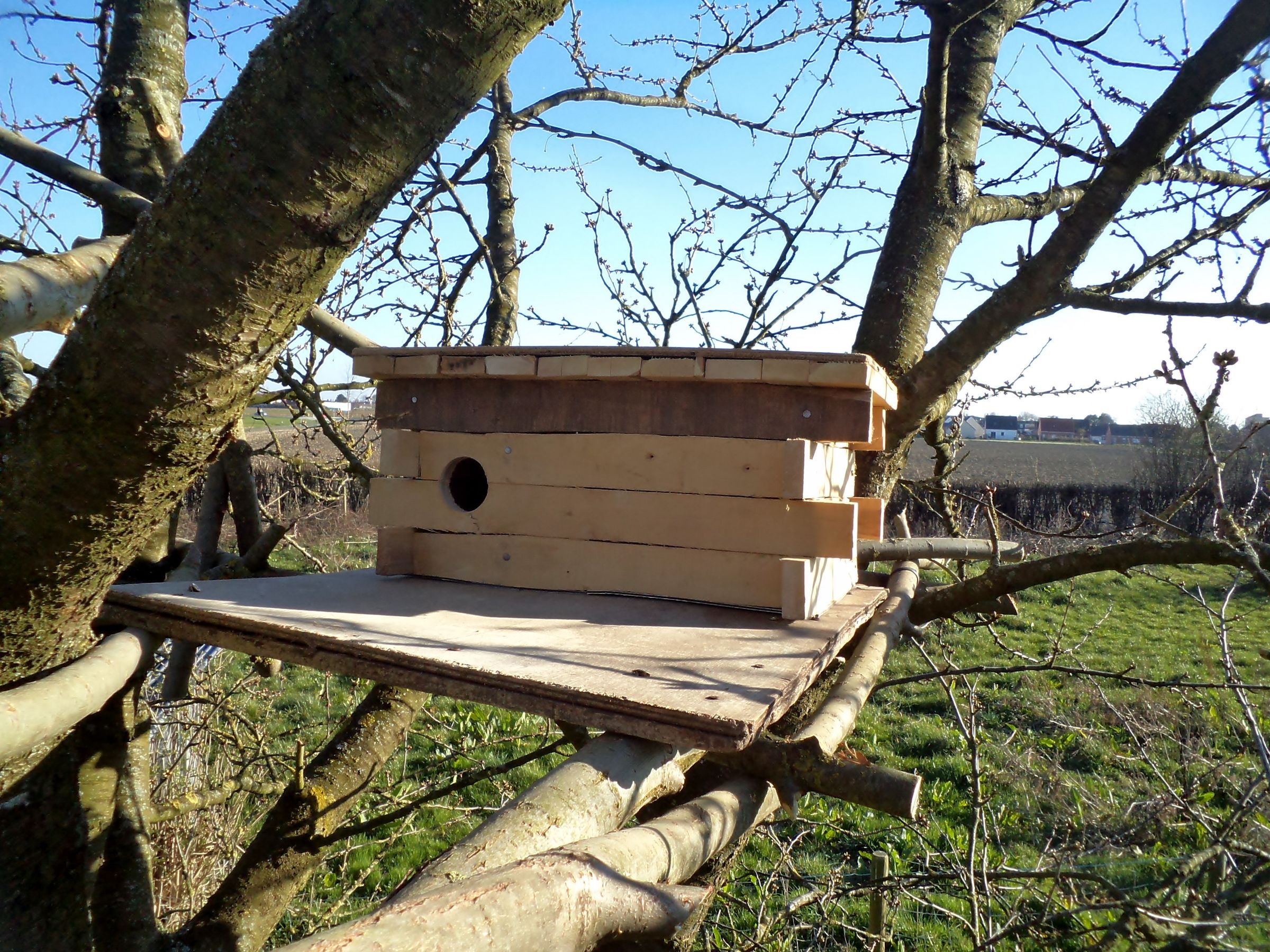 Nest Box for Little Owl - for 'Old World' Makers Only
