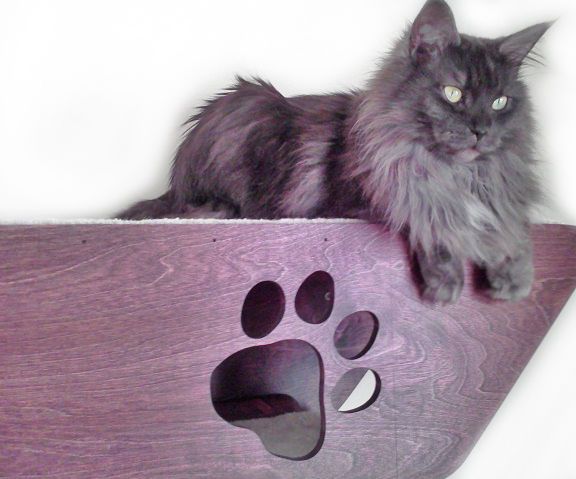 How to Make Hand Crafted Cat Shelving or Cat Wall
