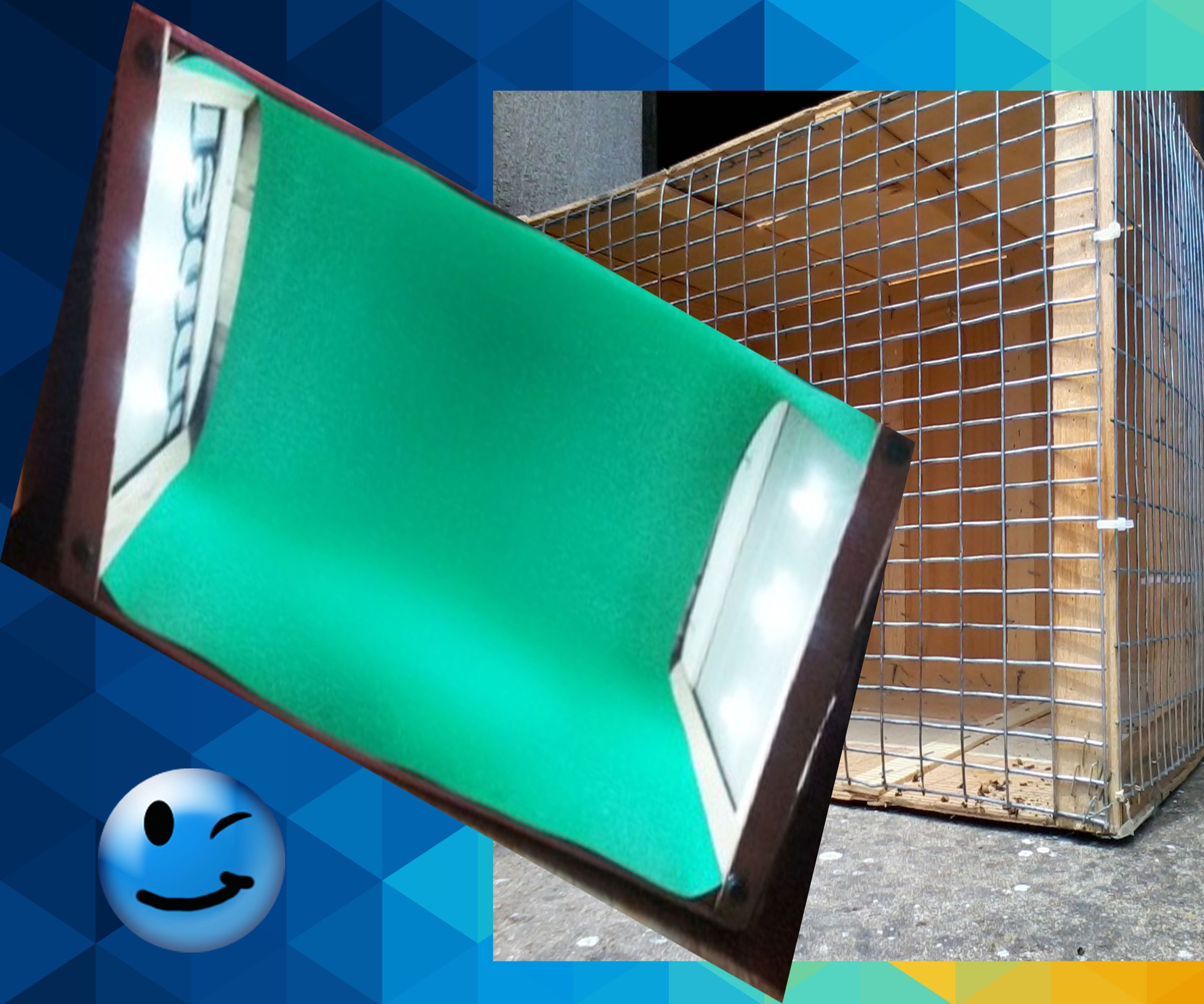 Making Bird's Photobox and Cage From Old Crates !