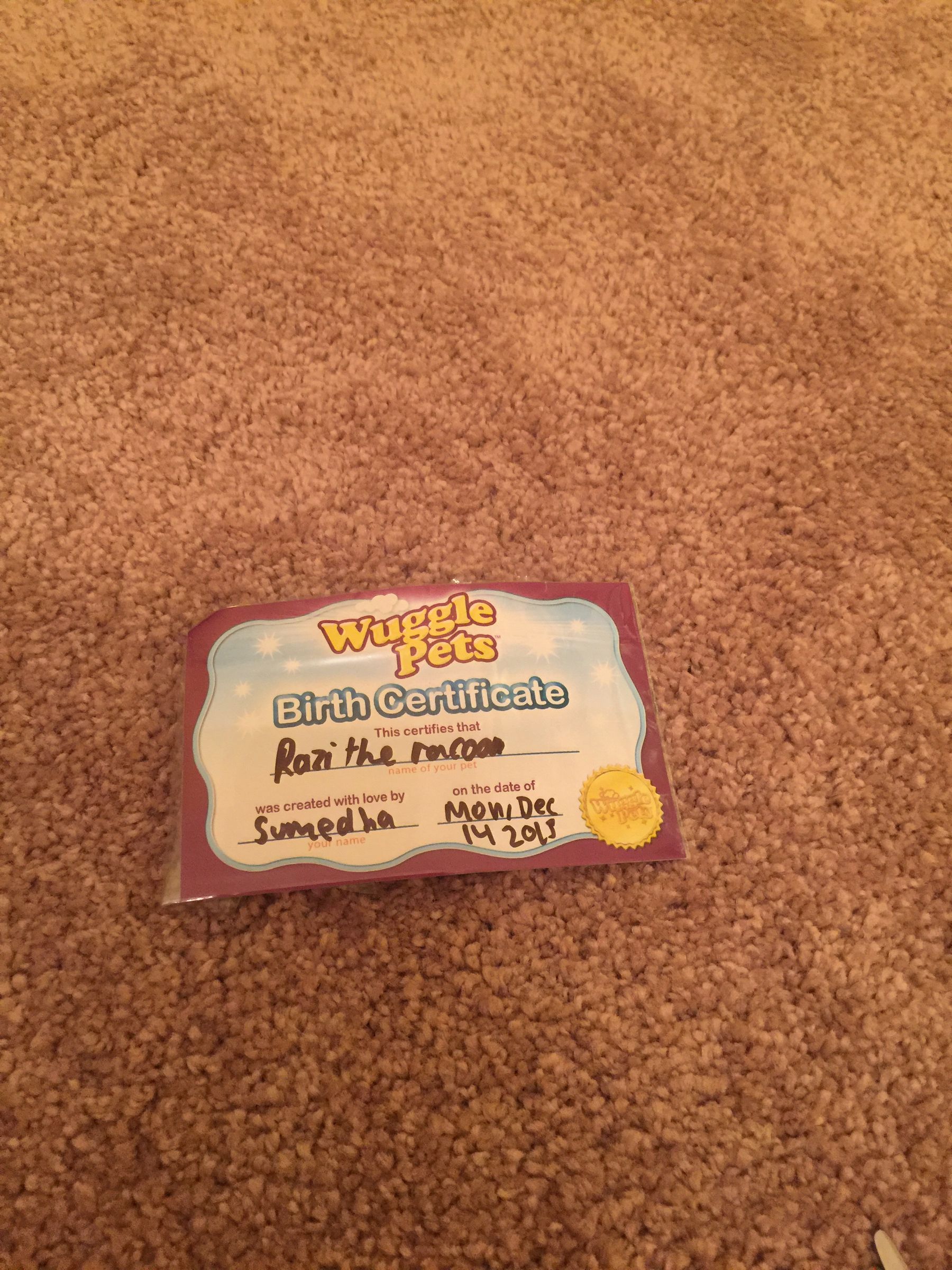 How to Laminate Stuff With Ziplock