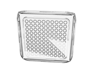 download {{ file.name }}