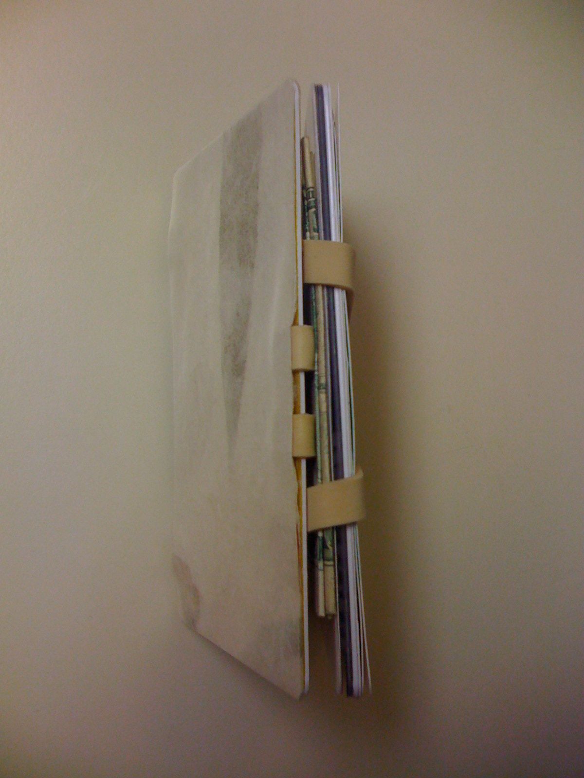 Minimalist's Magic Wallet