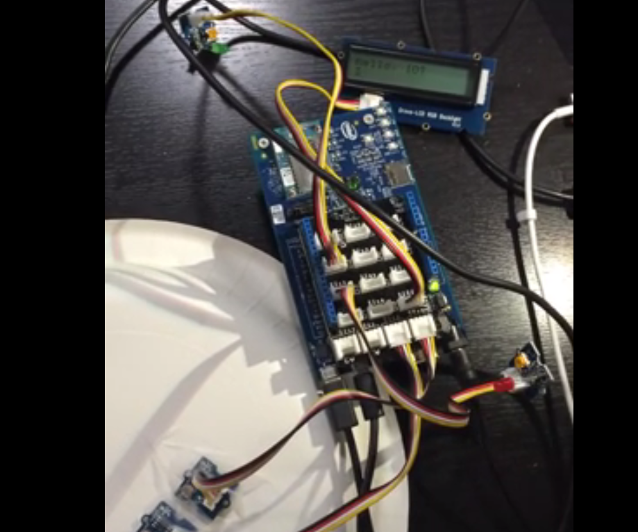 FlErt (Intel IoT)