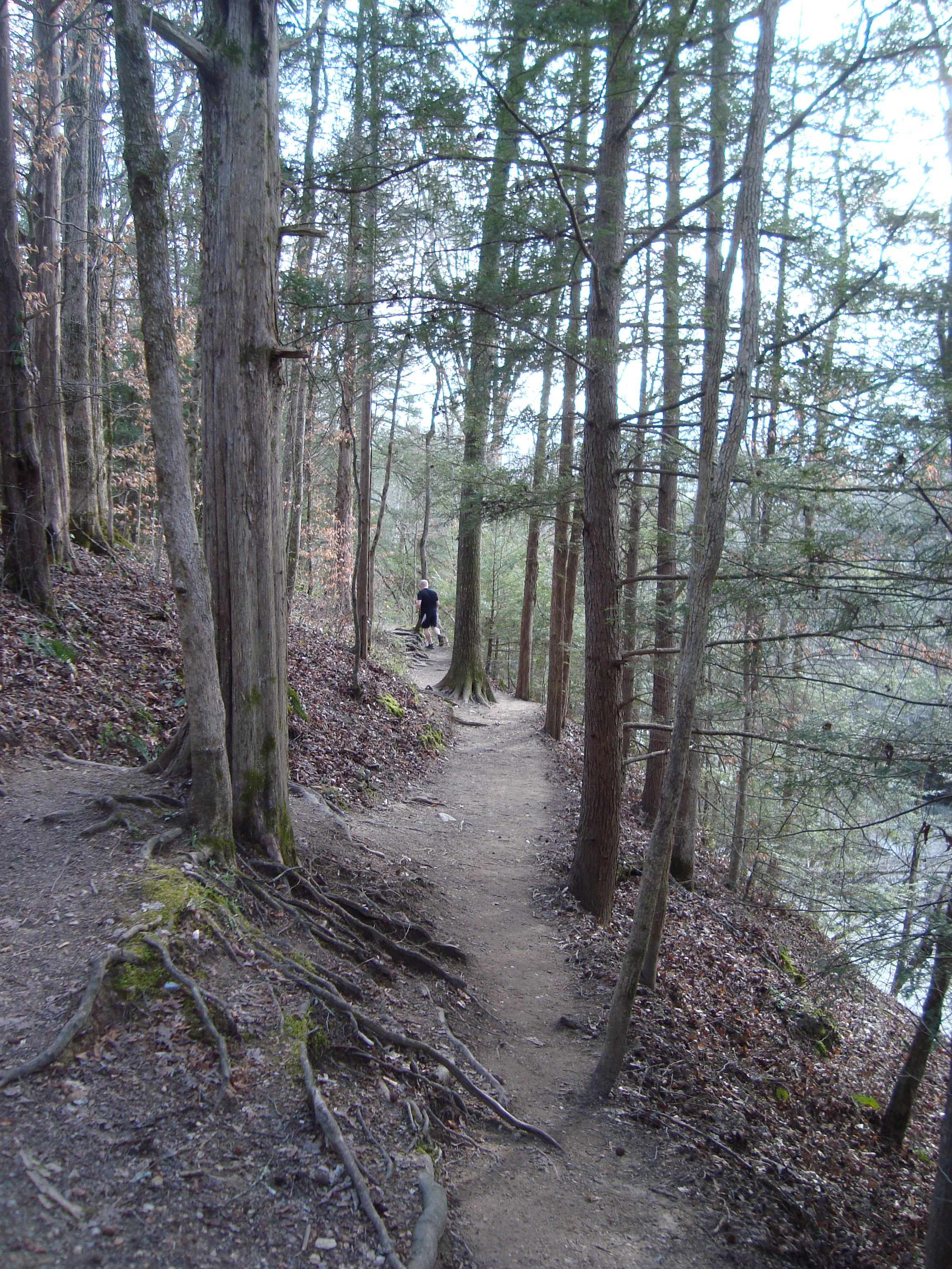 Updated and Revised Hiking How-to: What I Bring Along With Me.