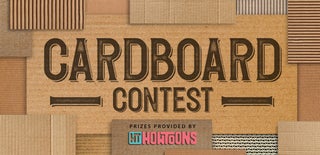 Cardboard Contest 2017