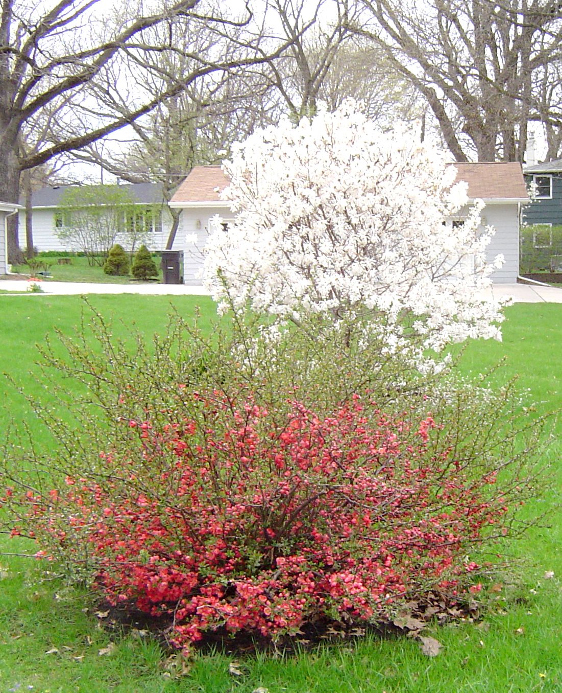 Deb's Garden in Iowa