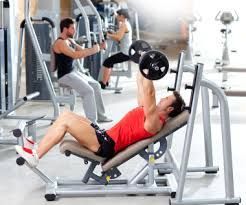 Diet, Exercise and Adonis Golden Ratio Workout