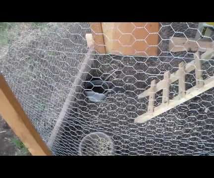 Cheap Chicken Tractor