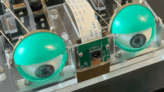 Controlling a Pair of Robotic Eyes : 5 Steps (with Pictures ...