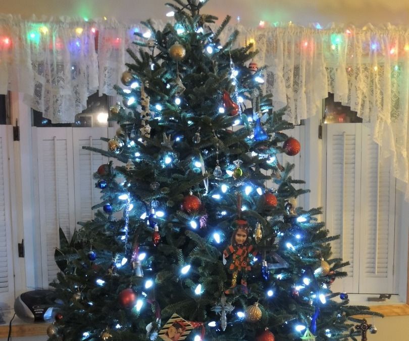 Long Lasting Christmas Tree