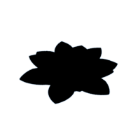 download {{ file.name }}