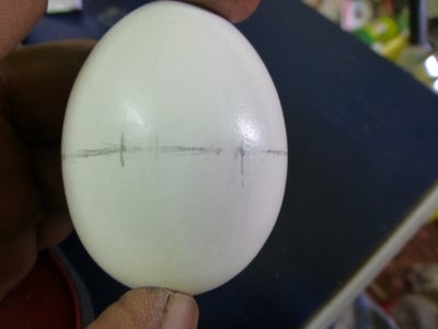Mark on the Egg Shell
