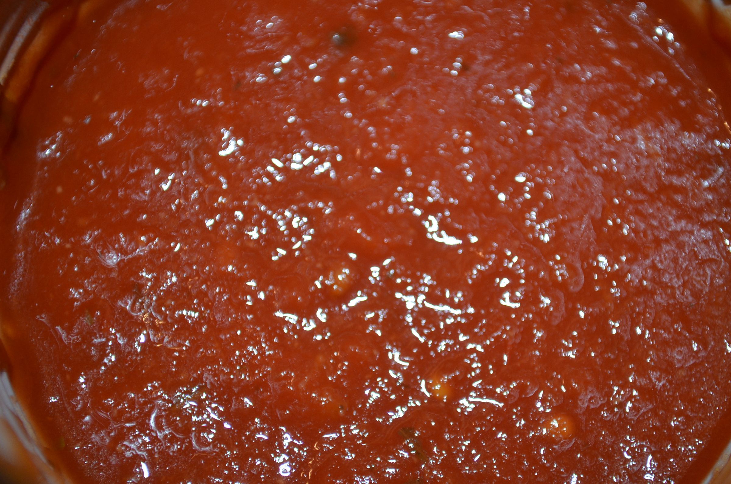 Back Country Prep Tomato Sauce Leather 7 Steps (with Pictures