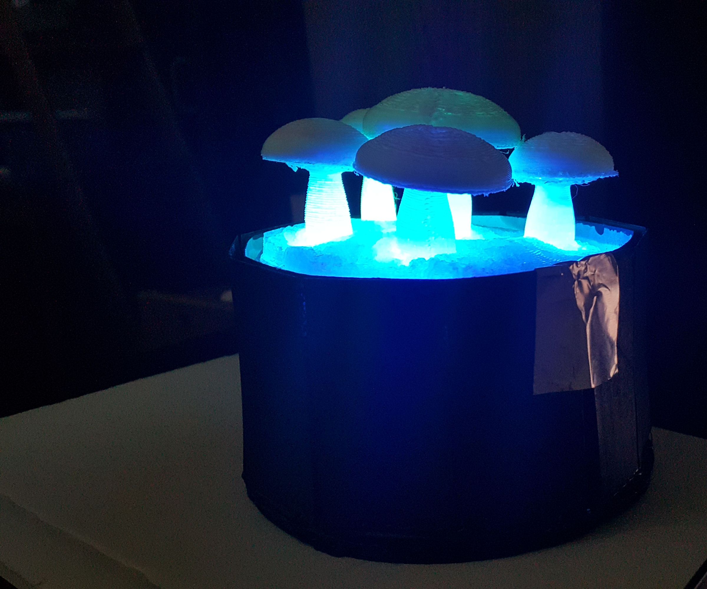 Color Changing Mushroom Lights 