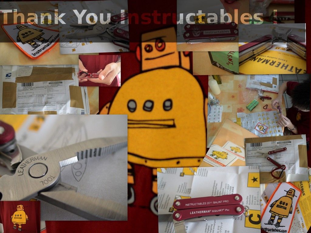 Thank You Instructables!