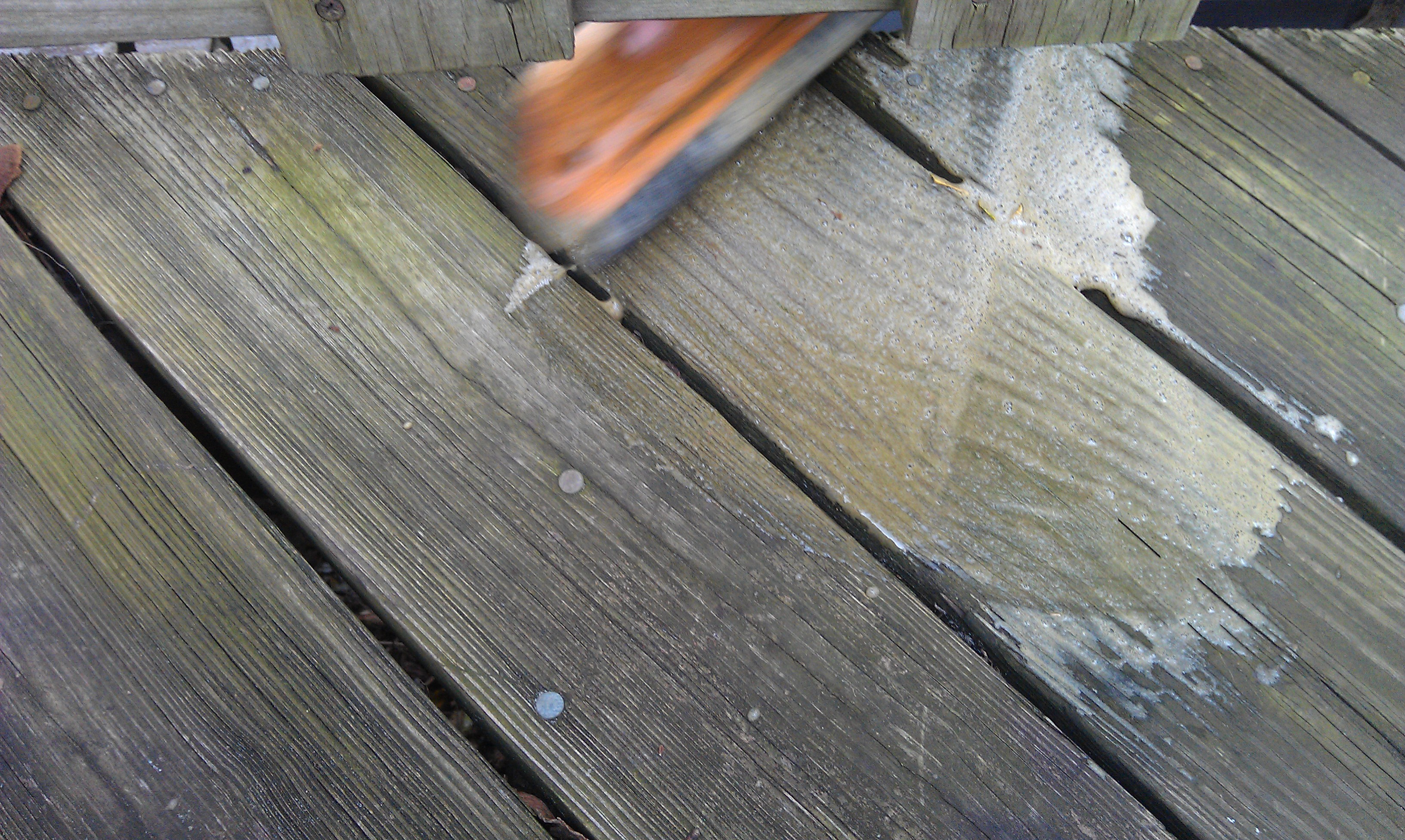 Killing Algae Growing on a Wooden Deck Using Hydrogen Peroxide