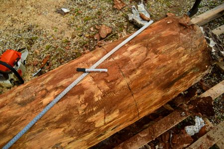 Milling the Log