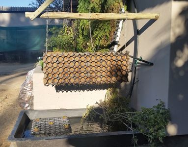 Hanging Hydroponic Waterfall Filter Garden