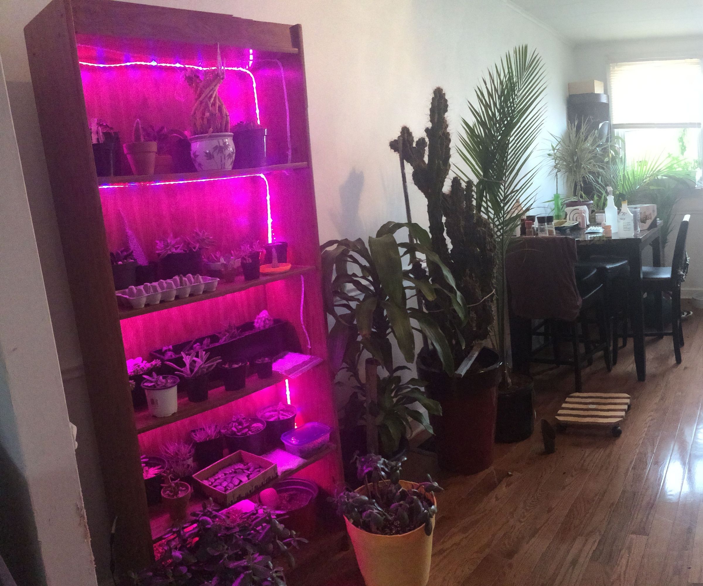 Grow Case - Plants Not Books