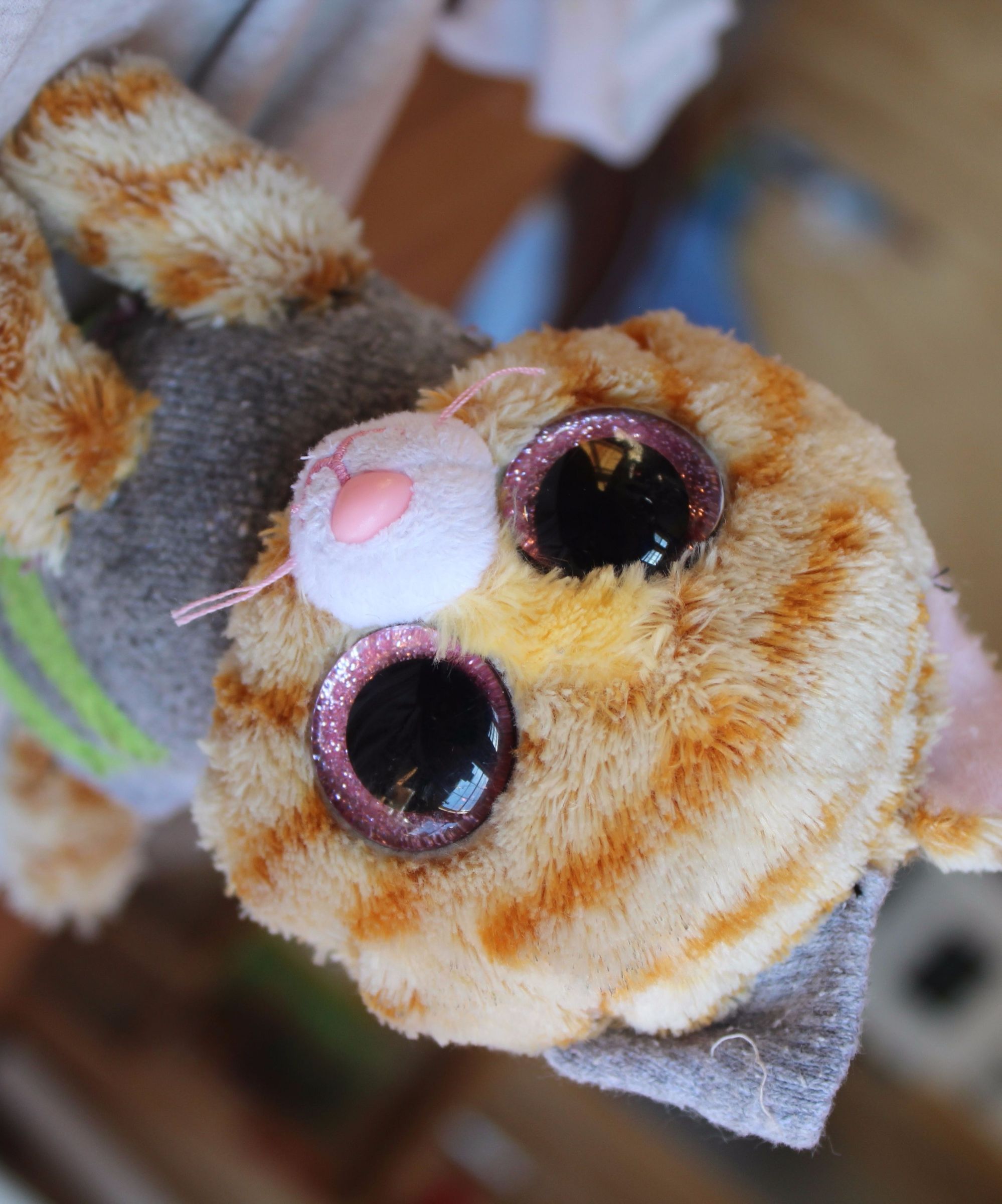 How to Make a Franken-Kitty