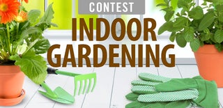 Indoor Gardening Contest 2015