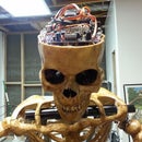 Automated Talking Skull