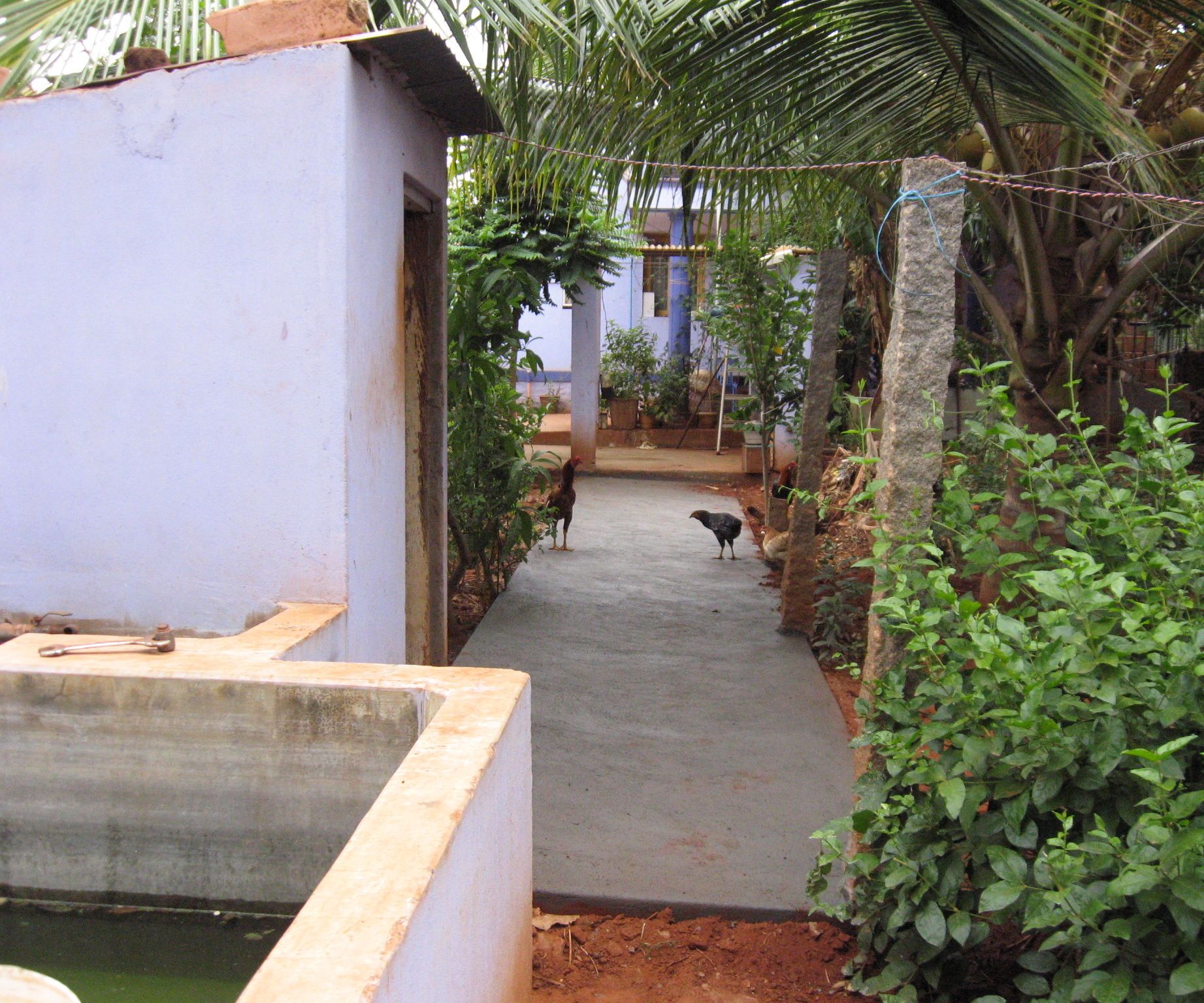 Home Improvement : Constructing a Paved Footpath in the Kitchen Garden