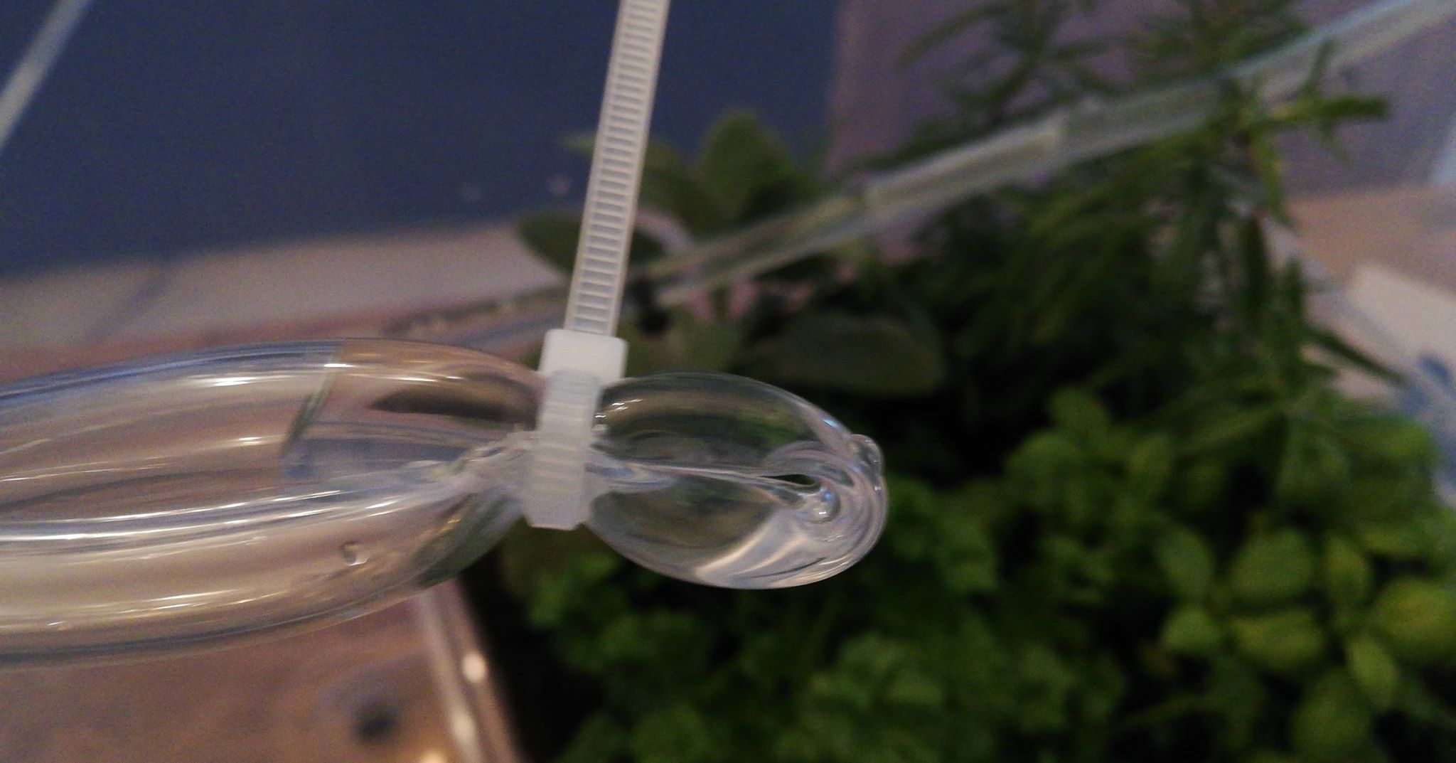 Automated Herb Garden 11 Steps (with Pictures) Instructables