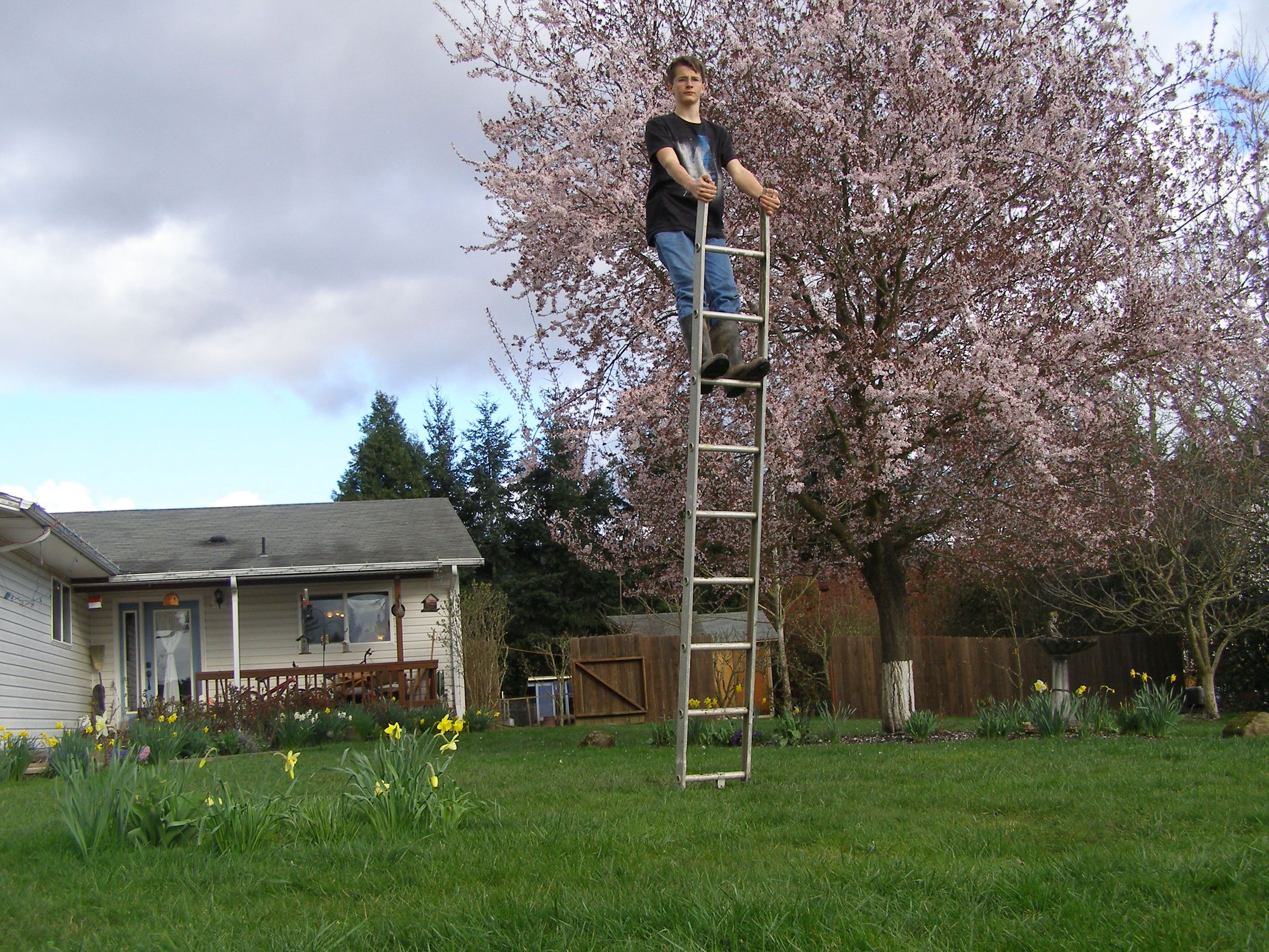 How to "balance" on a ladder