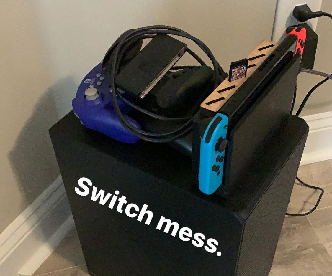 Nintendo Switch Organizer 