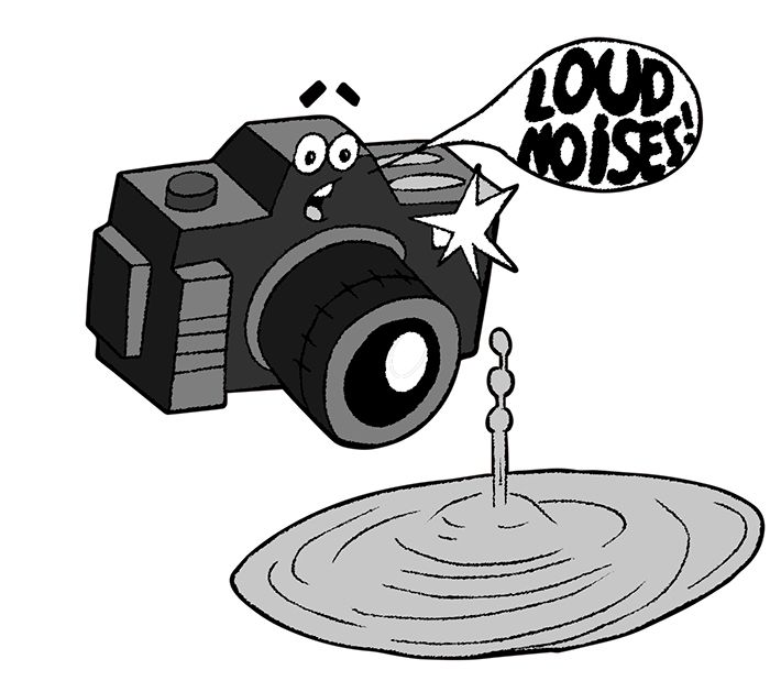 Sound Activated Camera Trigger For High Speed Photography