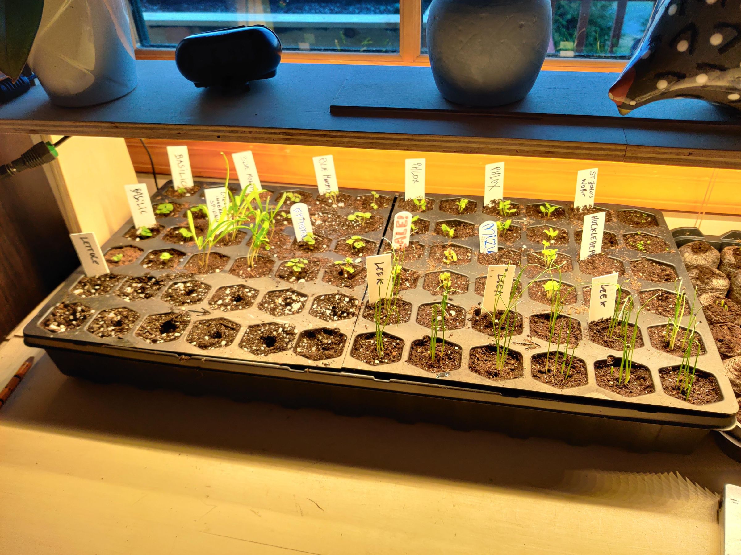 Adjustable Height Grow Light Shelf 7 Steps (with Pictures