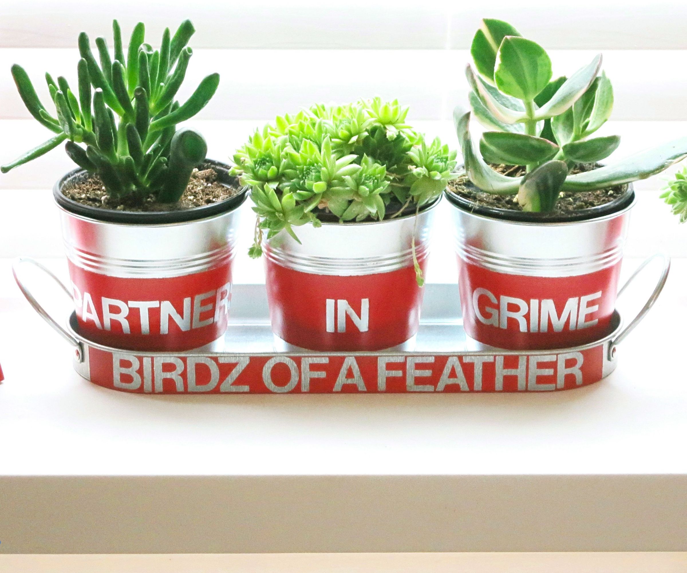 'Partners in Grime' Planter - Snazz Up Metal & Terra Cotta With Milk Paint!