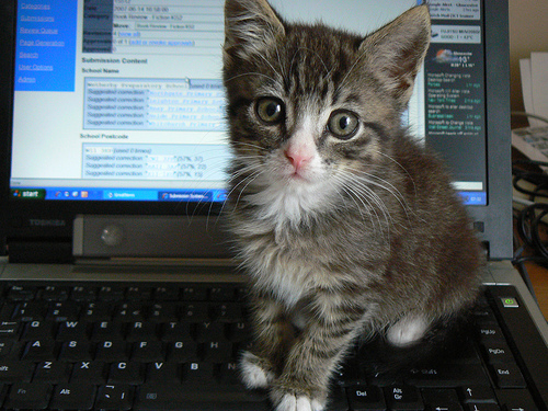 author