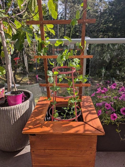 How to Make a Garden Box With a Trellis Out of Pallet Wood