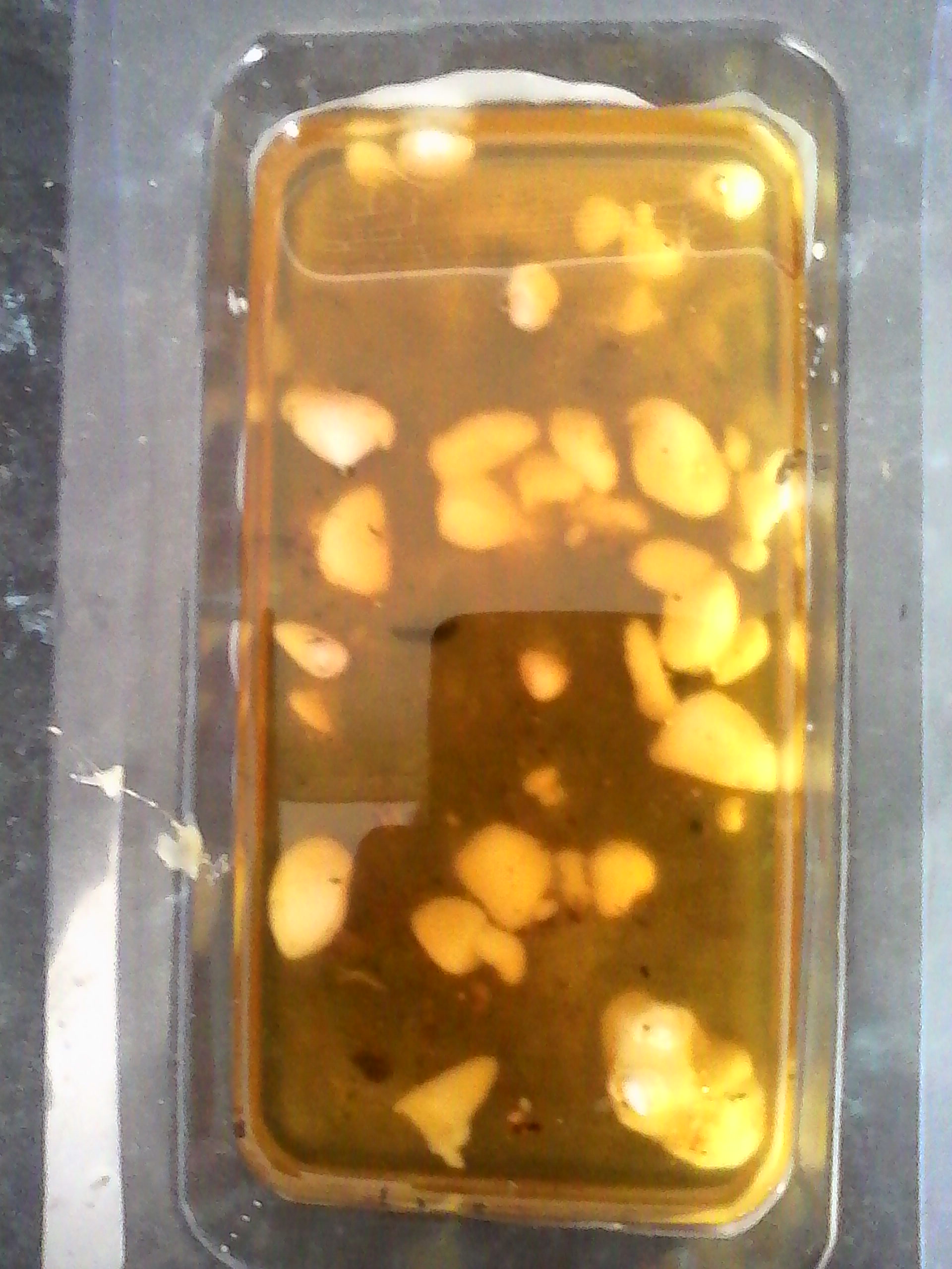 Homemade Recycled Wax Melts