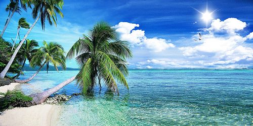 how to survive on the beach