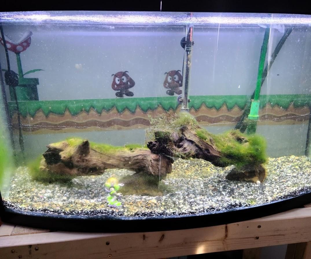 Aquarium Stand With Bookcase