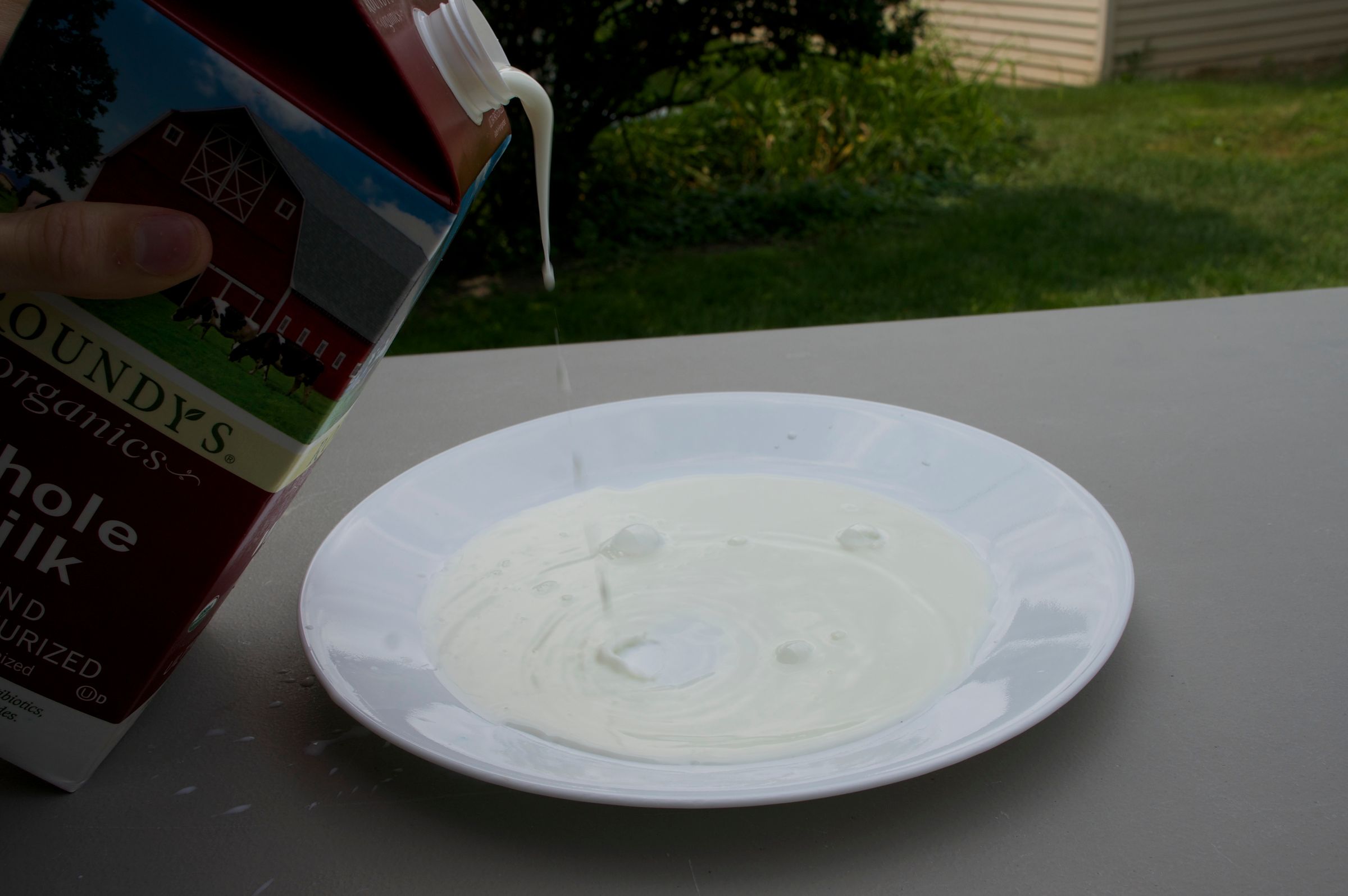 Milk + Soap = Awesome Reaction 8 Steps (with Pictures) Instructables