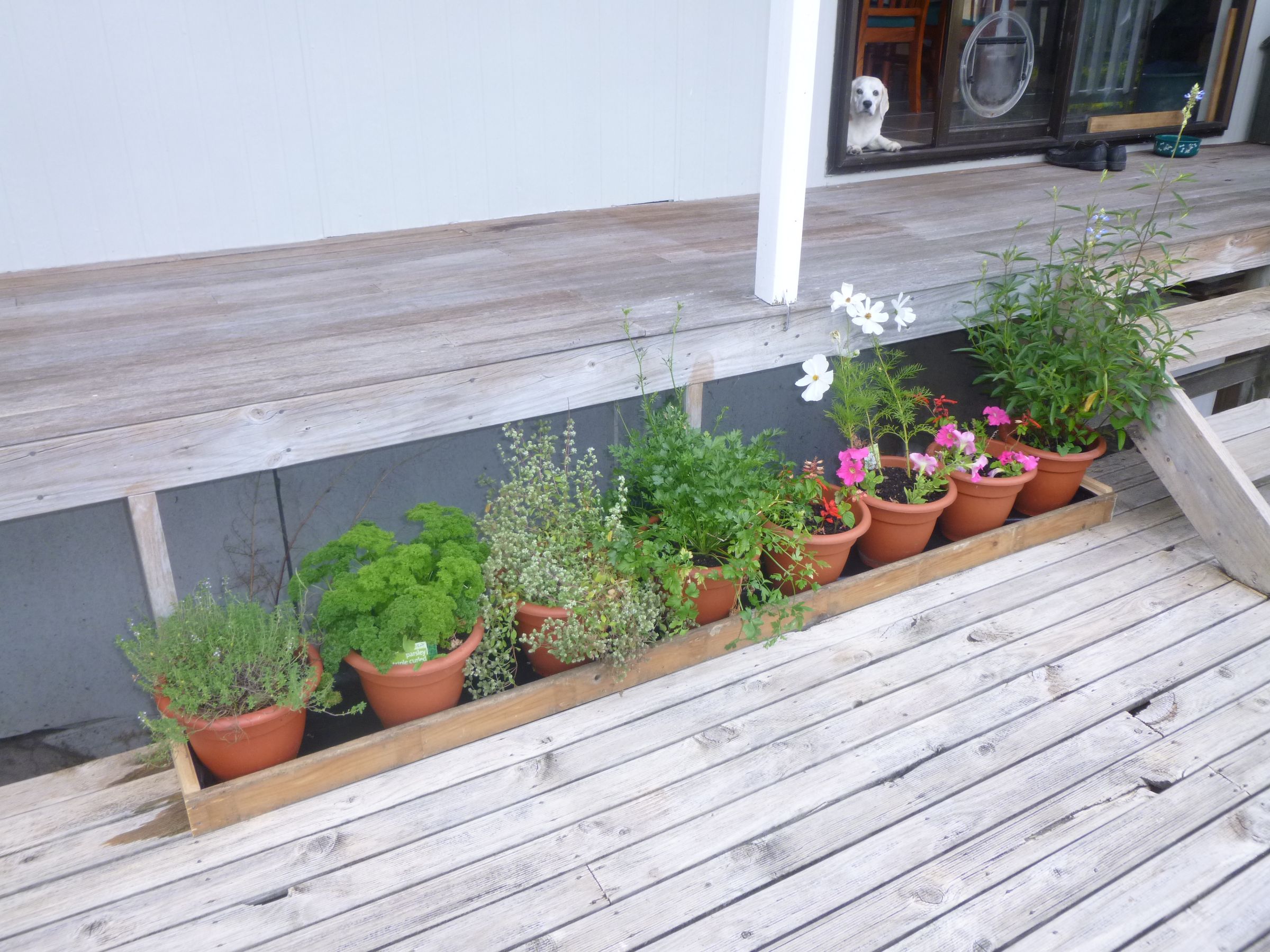 Make a Pot Trough for Saving Water on Your Deck