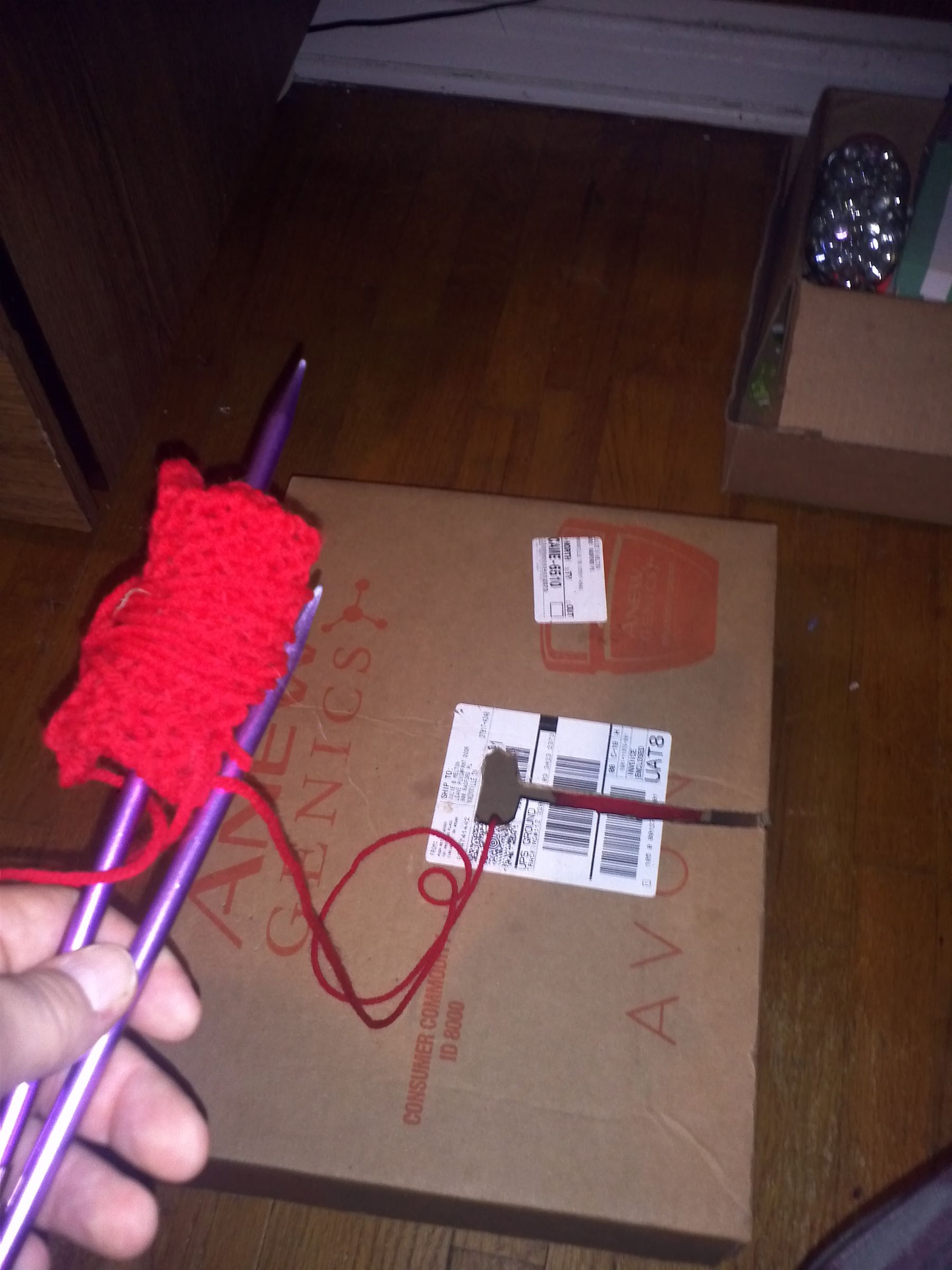 Anti Kitty Knitting Box