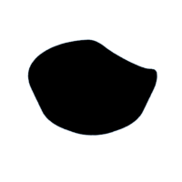 download {{ file.name }}