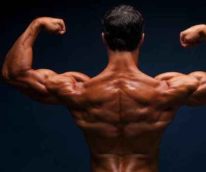 WHAT ARE PHOSPHOLIDS AND THEIR NEED?