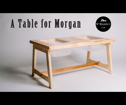 Morgan's Activity Table