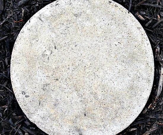 DIY Concrete Stepping Stones