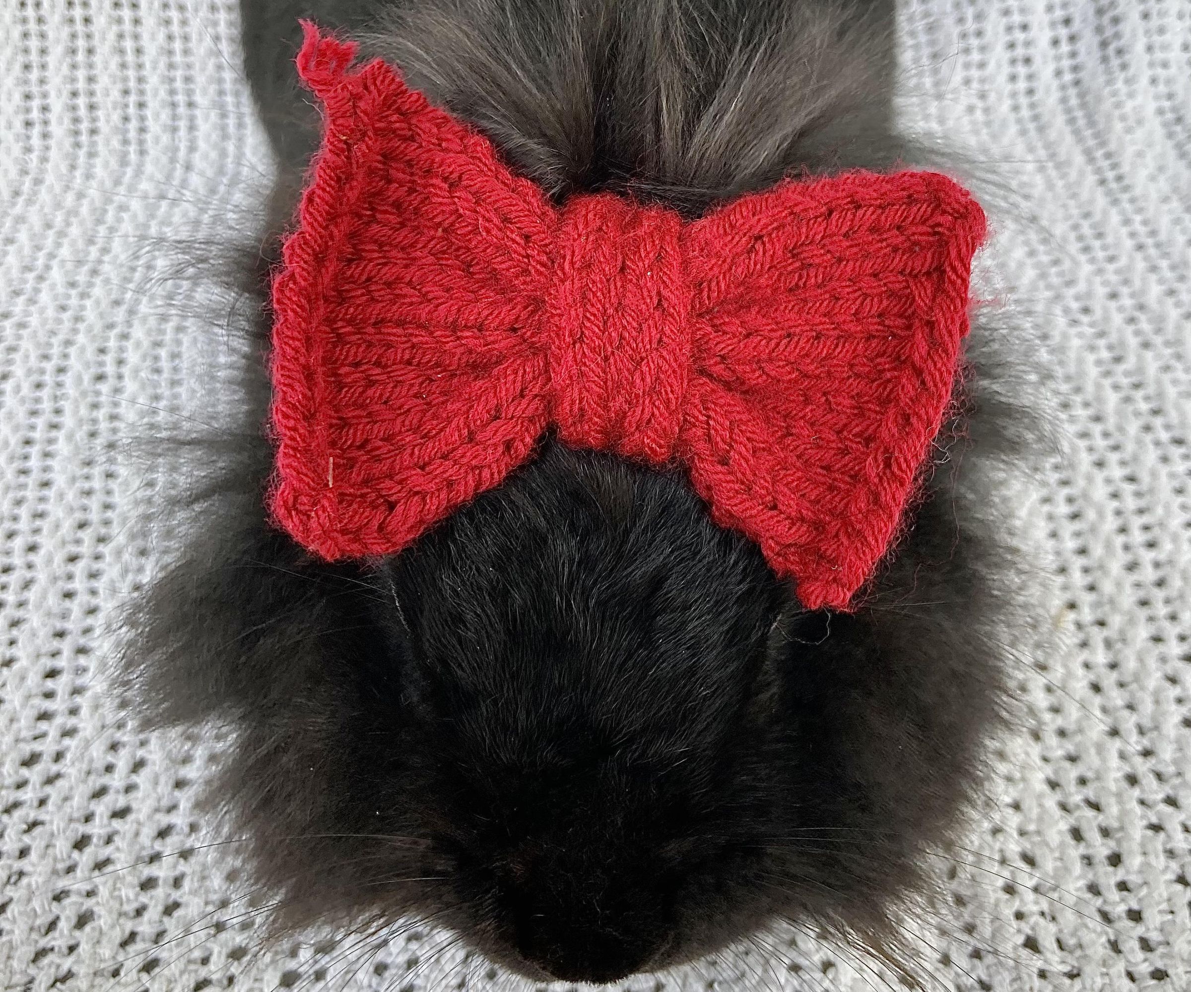 A Basic Guide to Bunny Hats