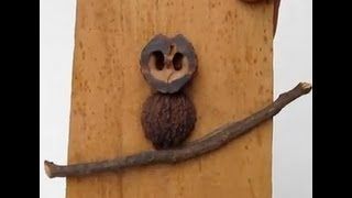 How to Make a Simple Owl Craft