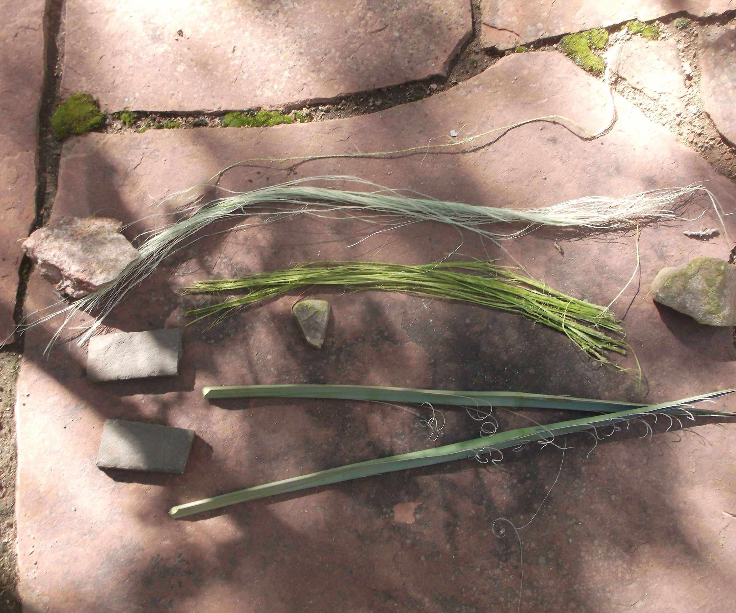 Processing Yucca Fibre with Primitive Tools