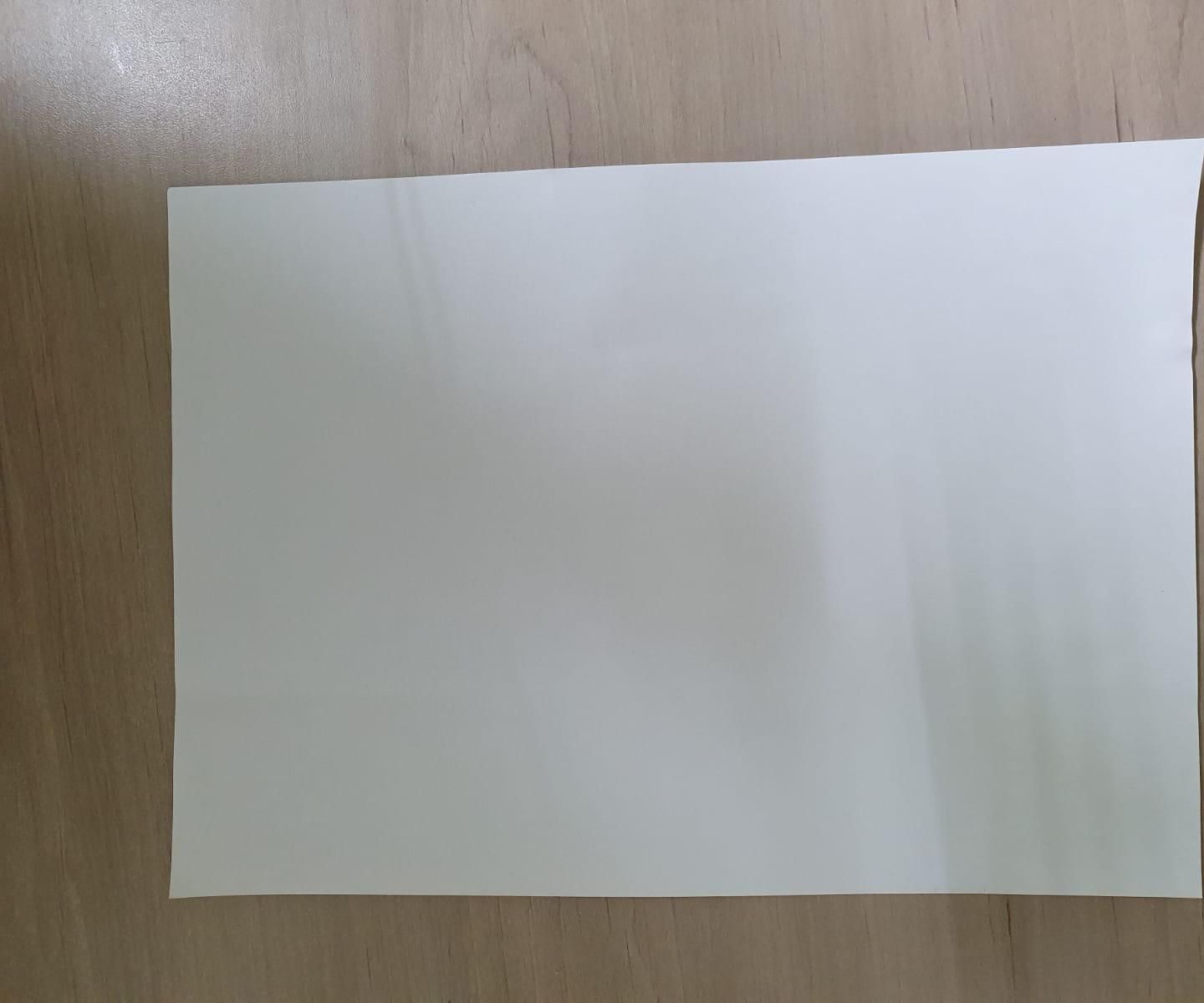 Paper Airplane